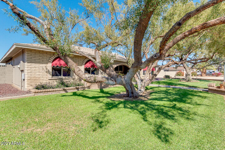 Property Photo:  4452 W Windrose Drive  AZ 85304 