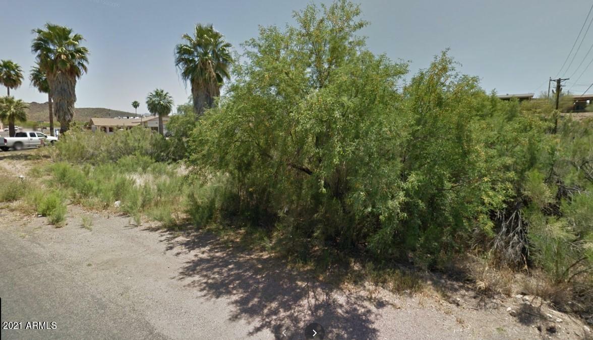 Property Photo:  1321 E Queen Valley Drive  AZ 85118 