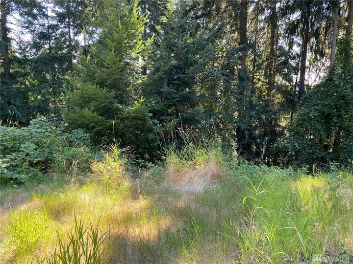 901 207th Place NE  Sammamish WA 98074 photo