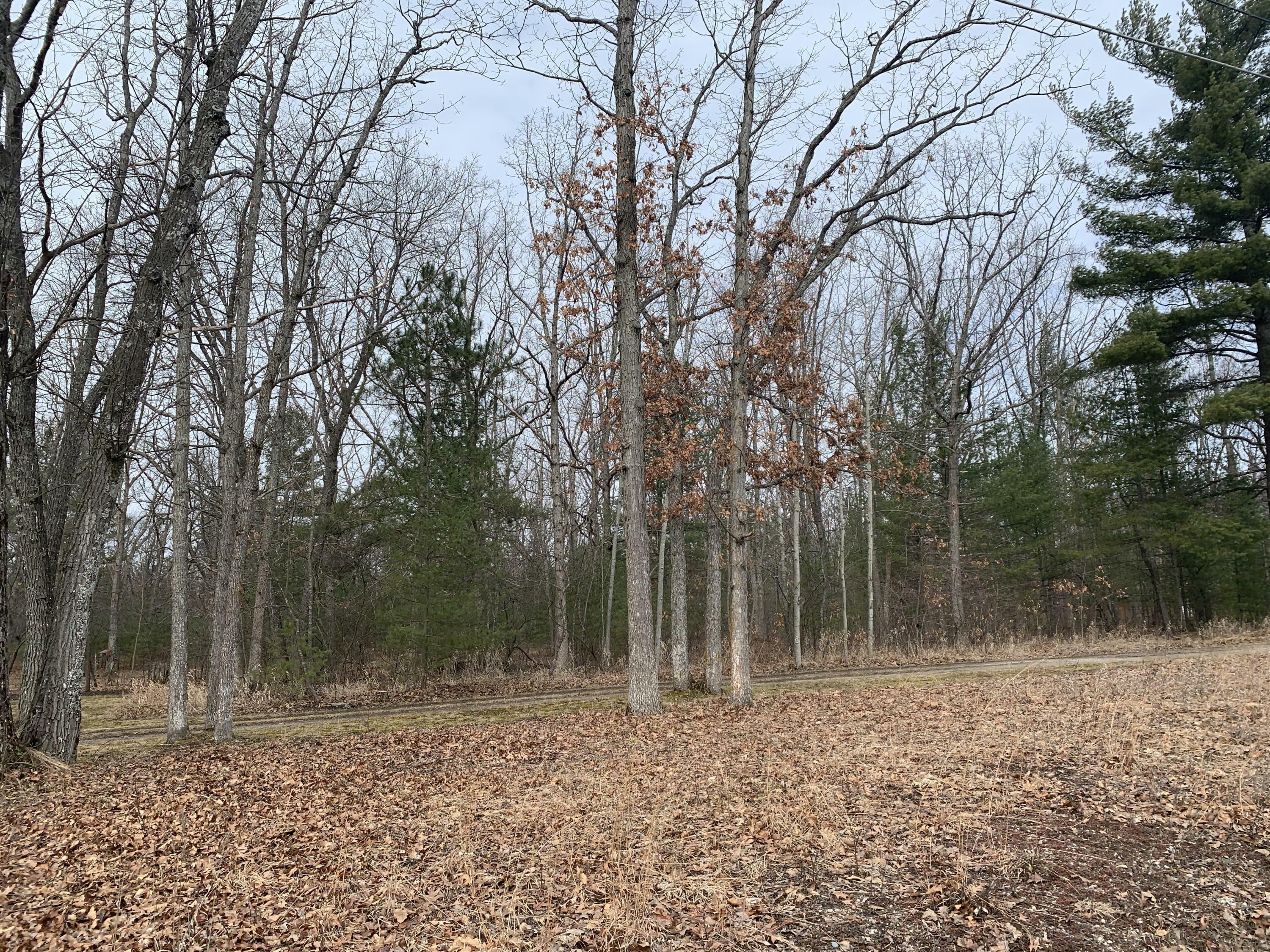 Property Photo:  S Straits Highway  MI 49749 