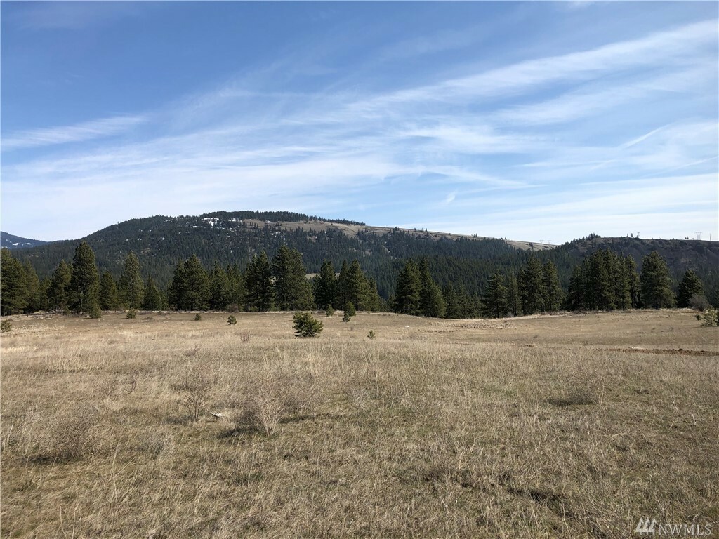 Property Photo:  Xxx Mountain Creek Dr  WA 98922 