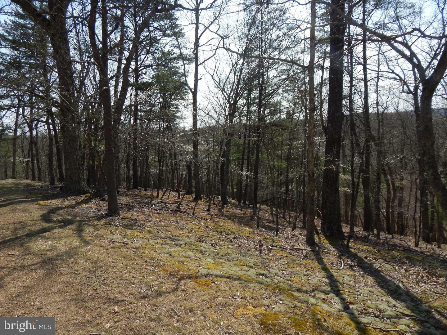 Property Photo:  Lot 72 Moss Lane  WV 25422 