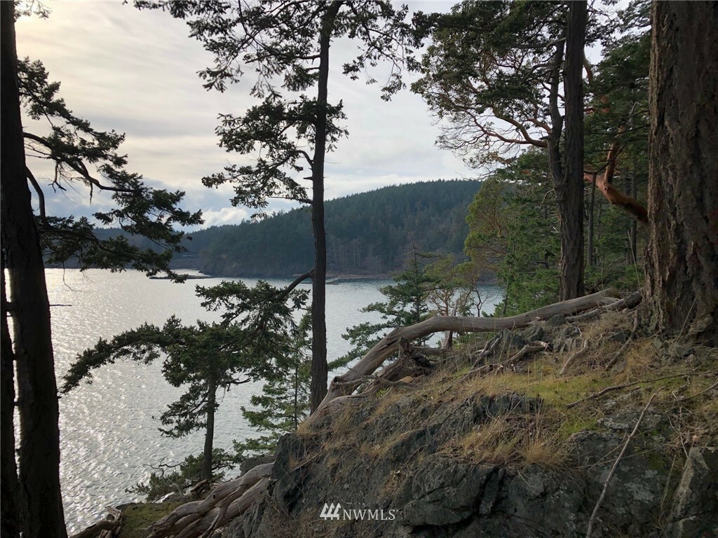 0 Lot 5 Fauntleroy Pt  The Hermitage Drive  Decatur Island WA 98221 photo