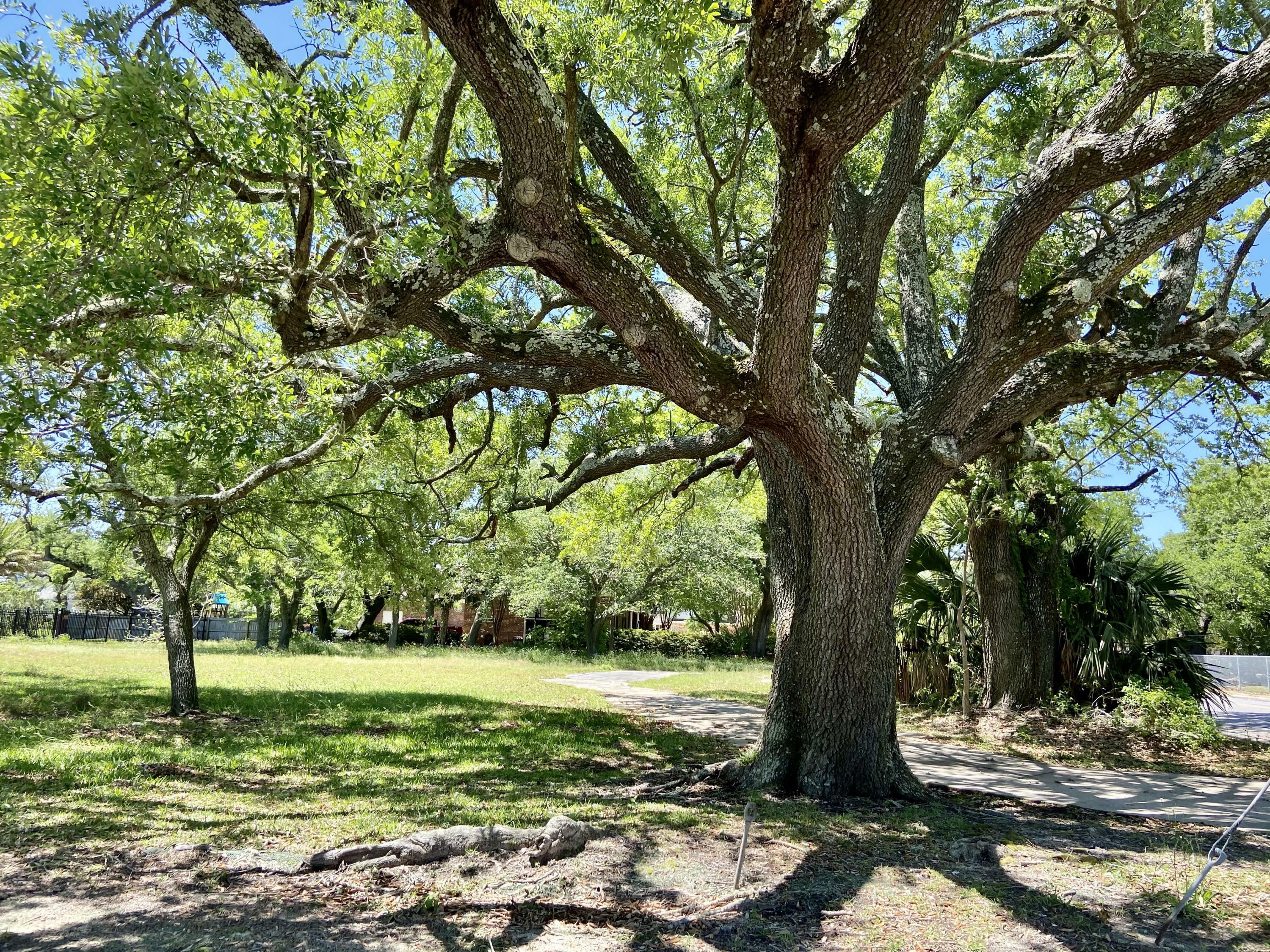 Property Photo:  565 Market Street  MS 39567 