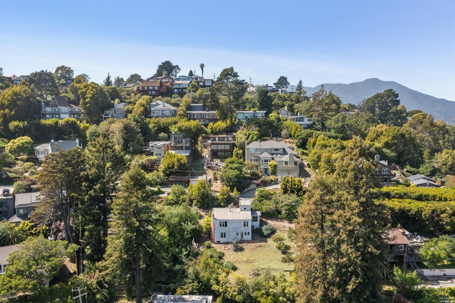 Property Photo: 217 Cleveland Avenue CA 94941