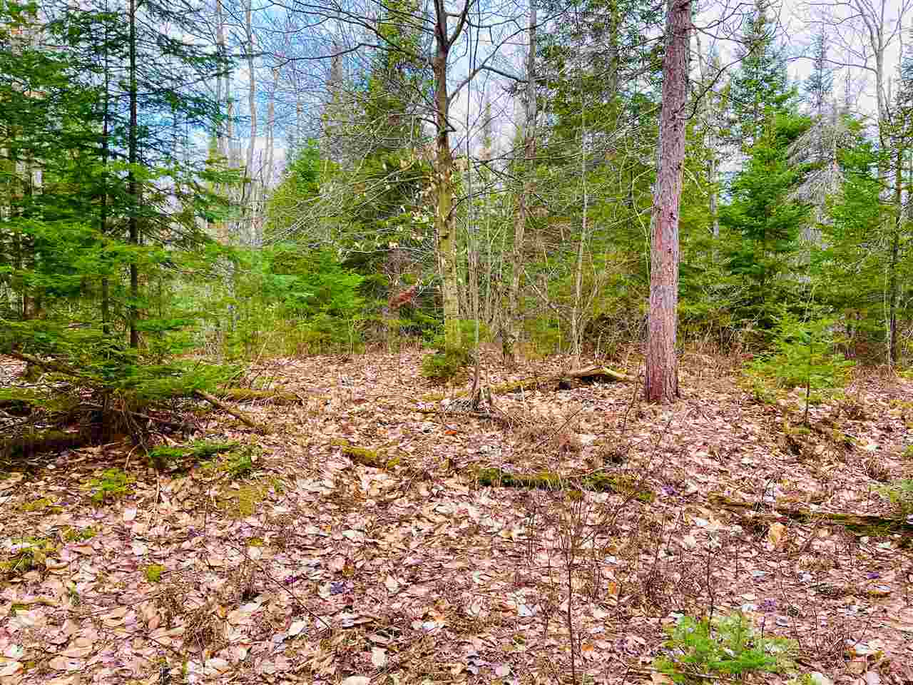 Property Photo: Tbd West North MI 49728
