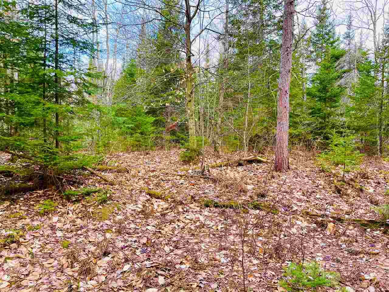 Property Photo: Tbd West North MI 49728
