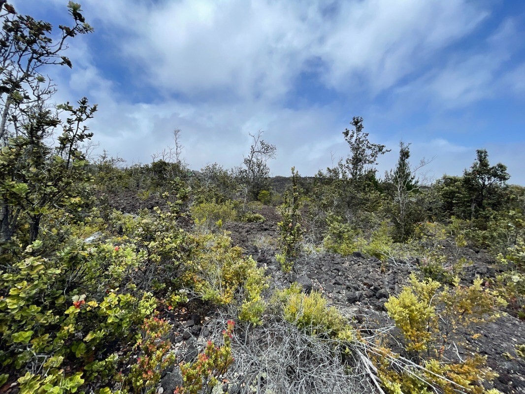 Property Photo:  Reef Cir Makai  HI 96737 