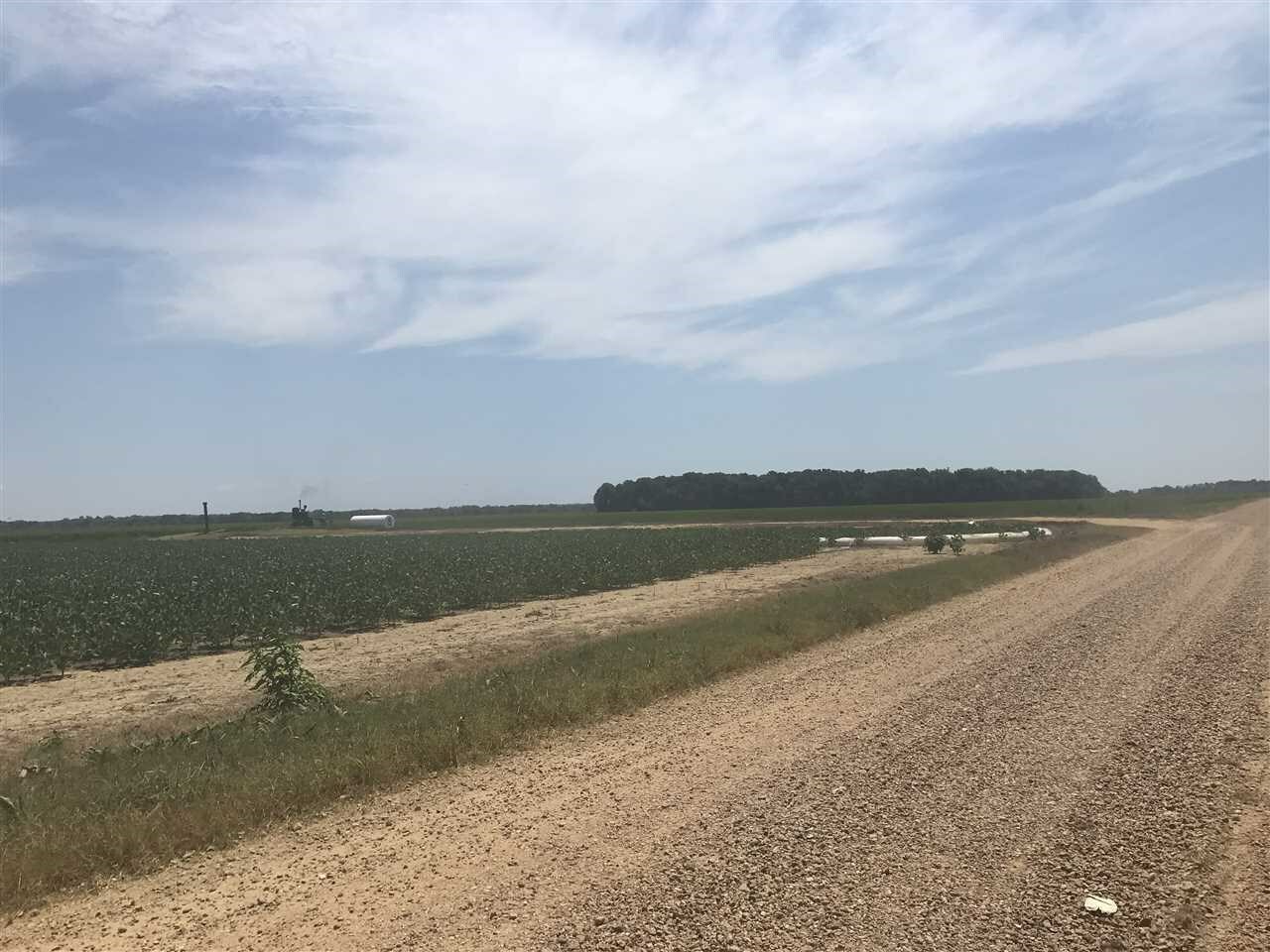 Property Photo: Tract 240 Highway 14 AR 72475