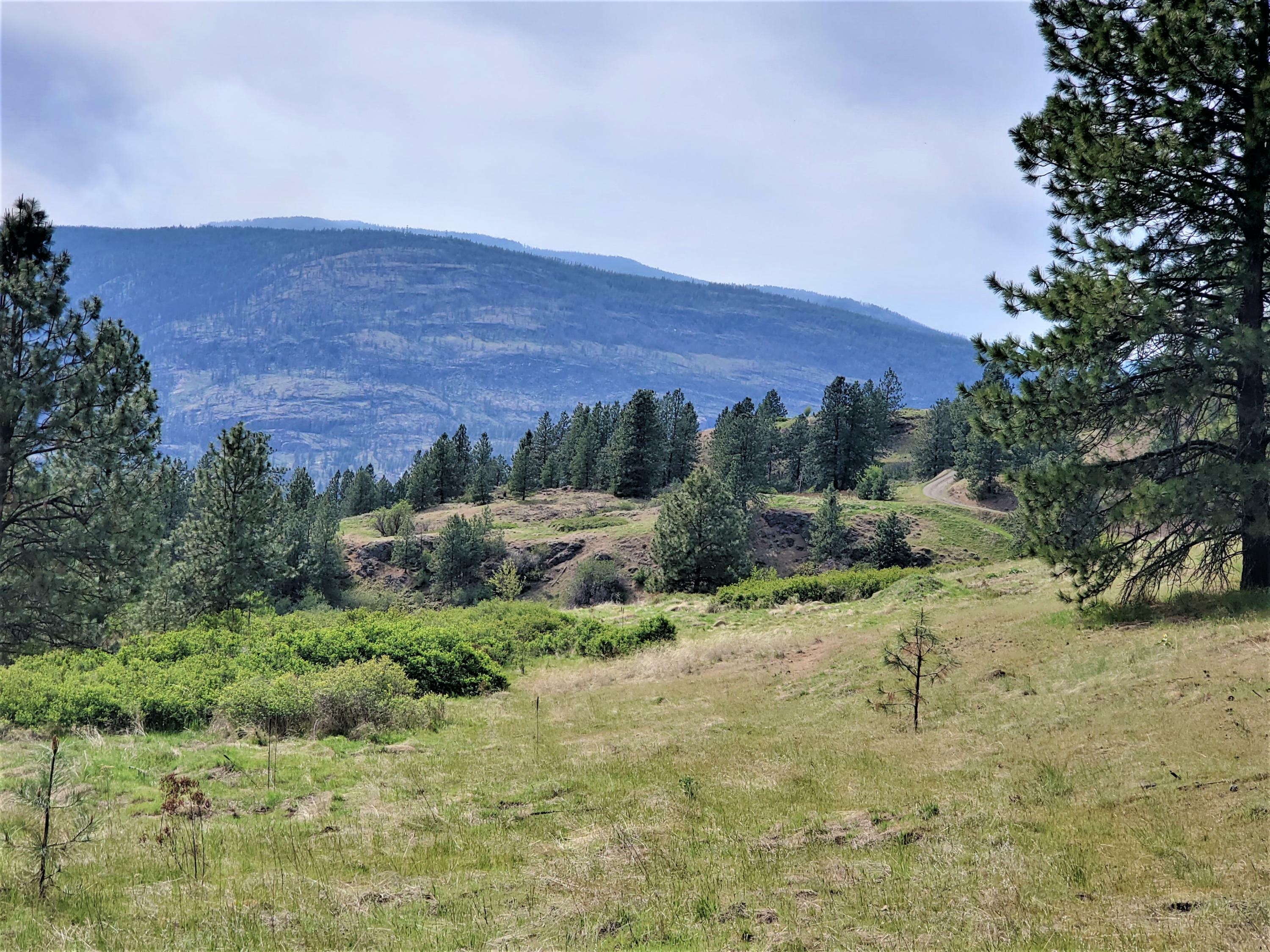 Property Photo:  1237 Gold Edge Mine Rd  WA 99141 