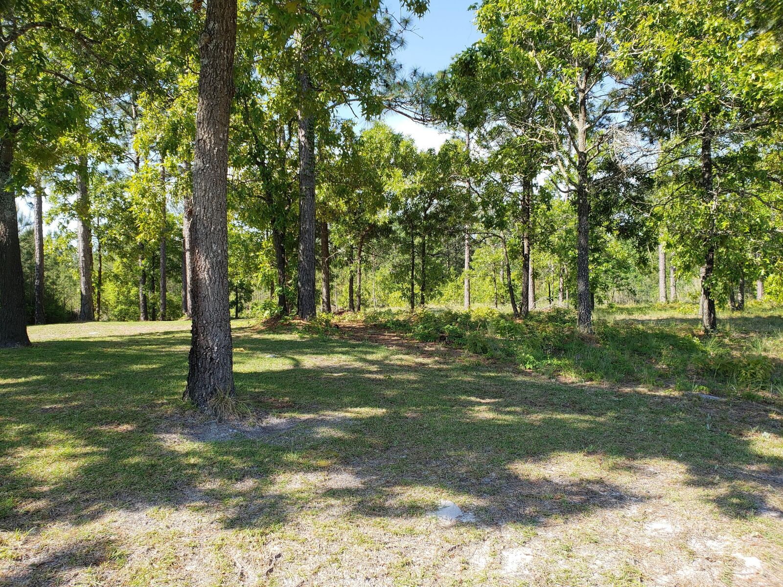 Property Photo:  5 Morris Drive  NC 28443 
