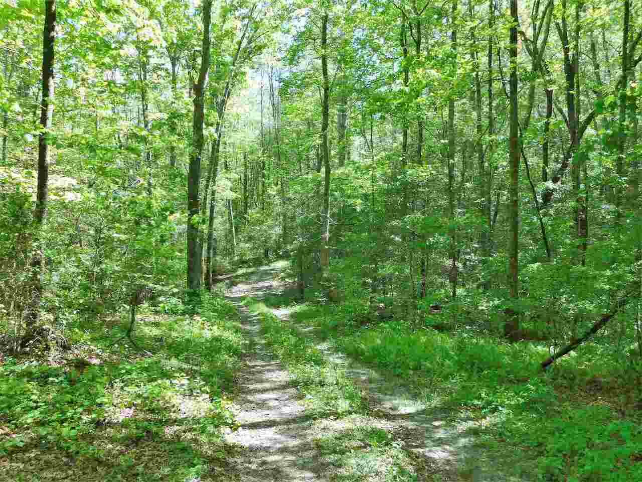 Property Photo:  0 Highway 17  GA 30571 