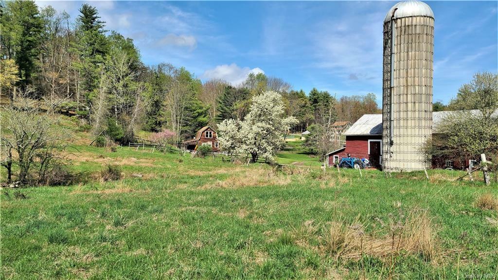 Property Photo:  54 Olsen Road  NY 12752 