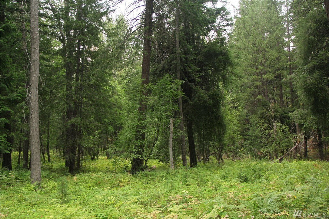 Property Photo:  Lot 52 Cedarosa Park  WA 98833 