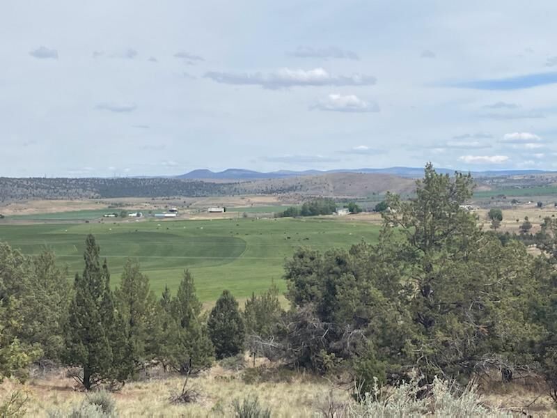 Property Photo: Lot 9 Hilltop Lane OR 97741