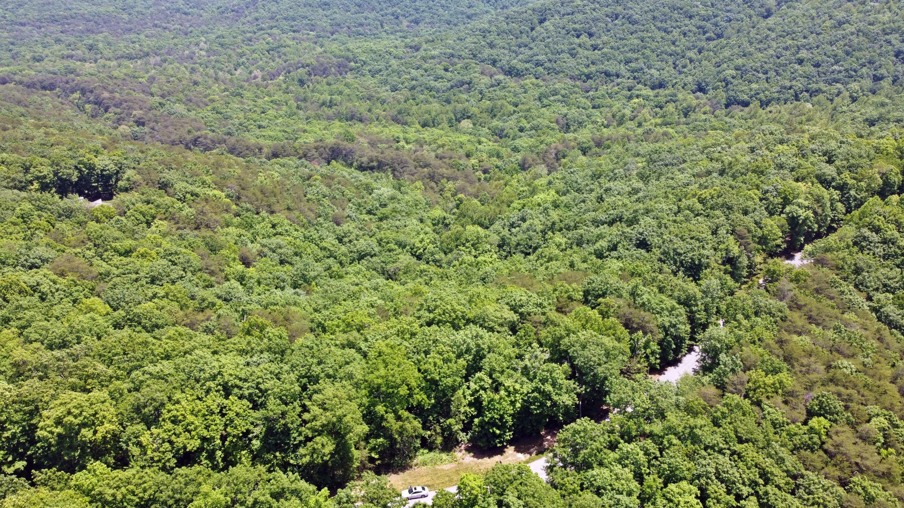 Property Photo: 0 N Shivas Crest GA 30738