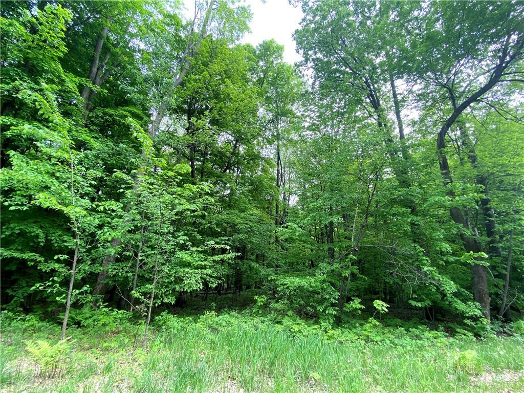 Property Photo:  Outlot1 732nd Avenue  WI 54751 