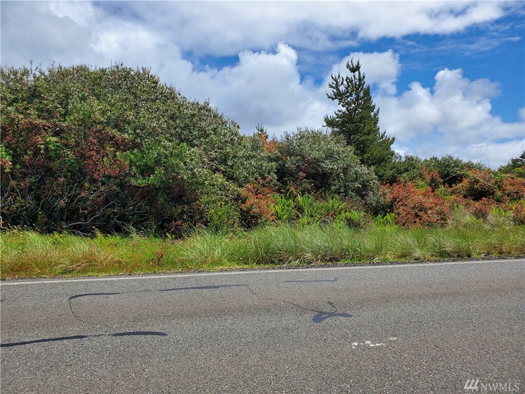 Property Photo:  640 Ocean Shores Blvd SW  WA 98569 