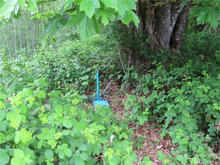 Property Photo:  12899 Game Trail Wy SE  WA 98367 