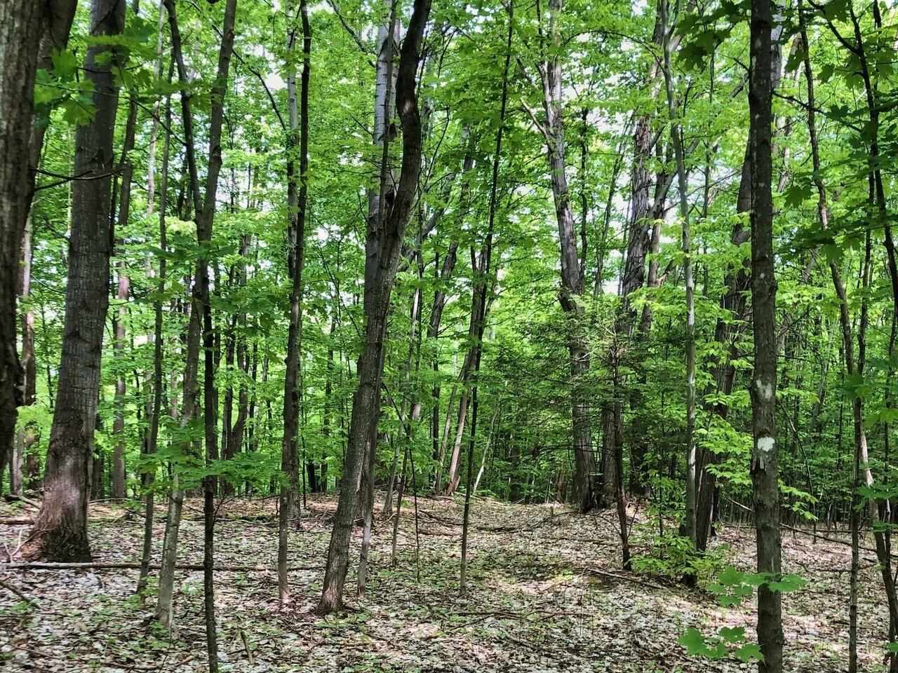 Property Photo:  Lot 3 Mason Hill North 3  VT 05487 