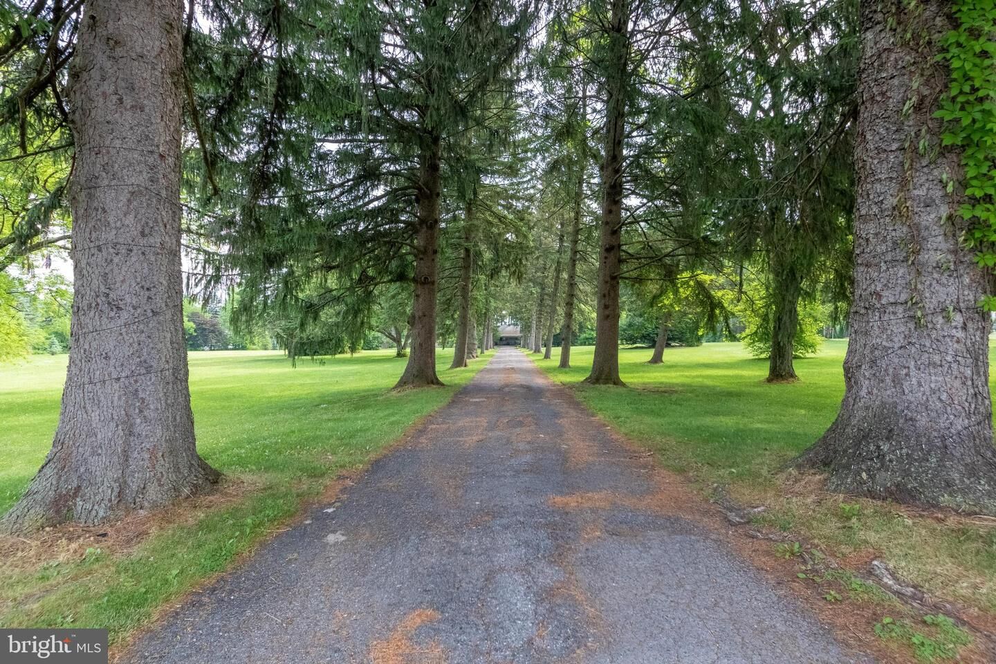 Property Photo:  528 Cherryville Road  PA 18067 