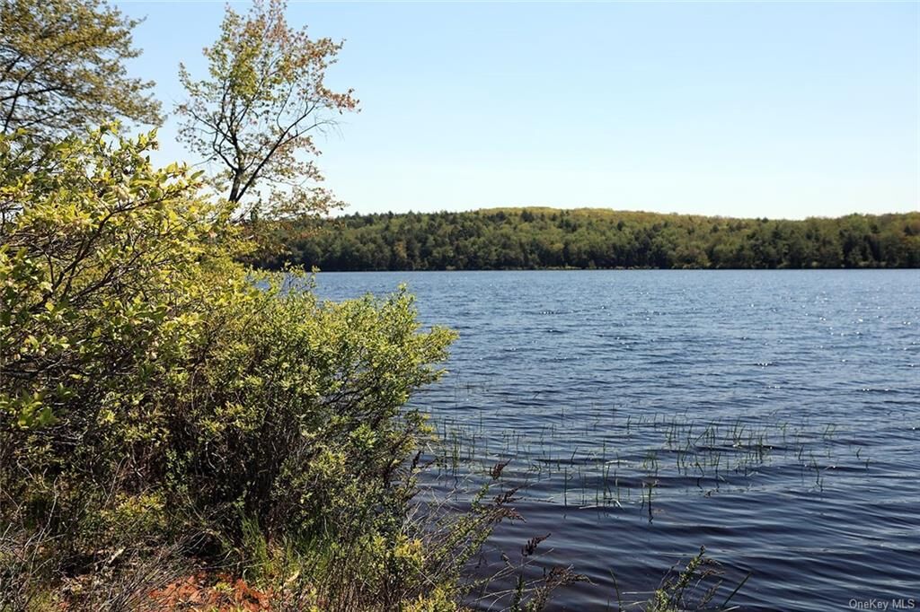 Property Photo:  10 Brian Road  NY 12777