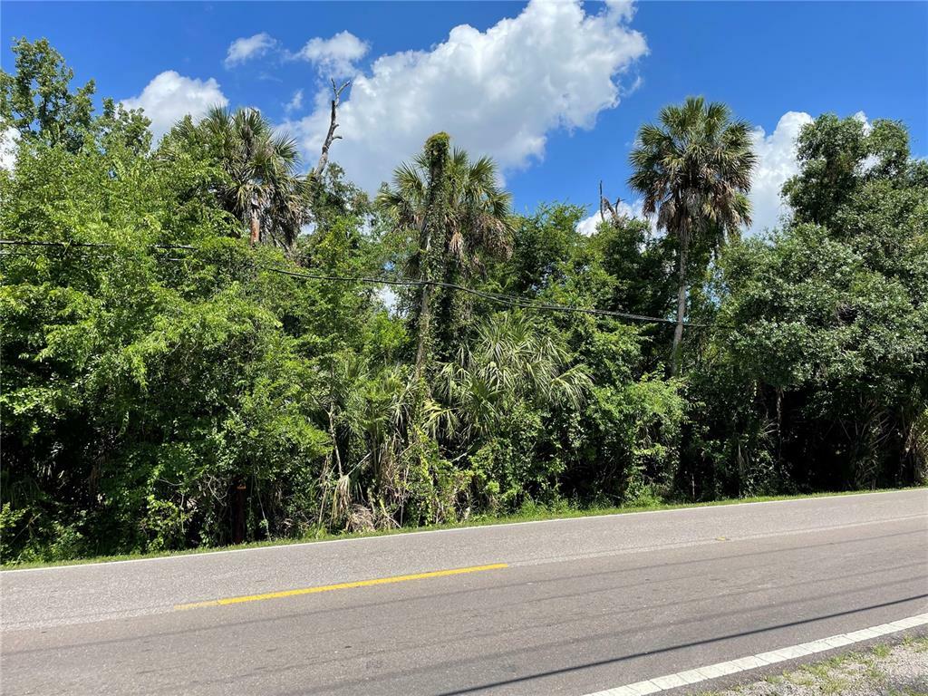 Property Photo:  S 78 Th Street  FL 33578 