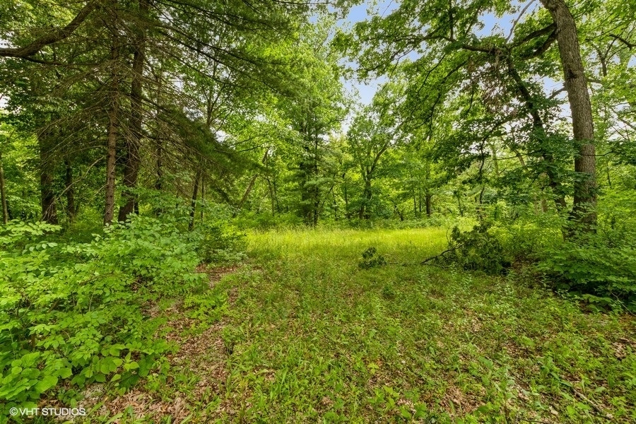 Property Photo: 11702 German Church Road IL 60527