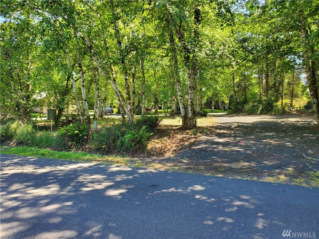 Property Photo:  441 Duck Lake Dr NE  WA 98569 