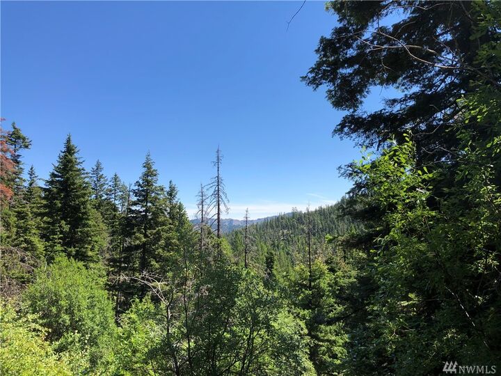 10 Blewett Ridge Dr  Peshastin WA 98847 photo