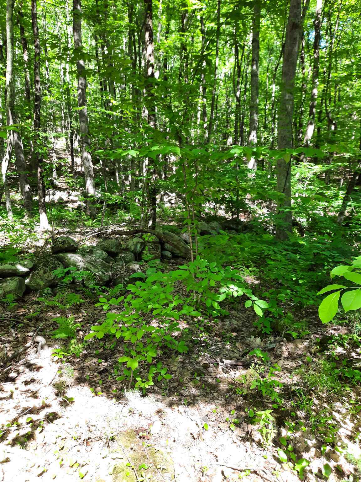 Property Photo:  Lot 20 Orchard Hill Road  NH 03825 