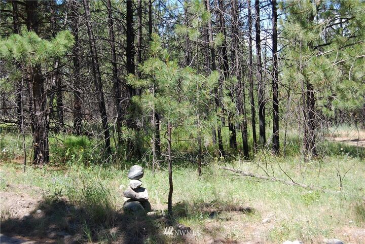 Property Photo: 28 Knox Rd WA 98849