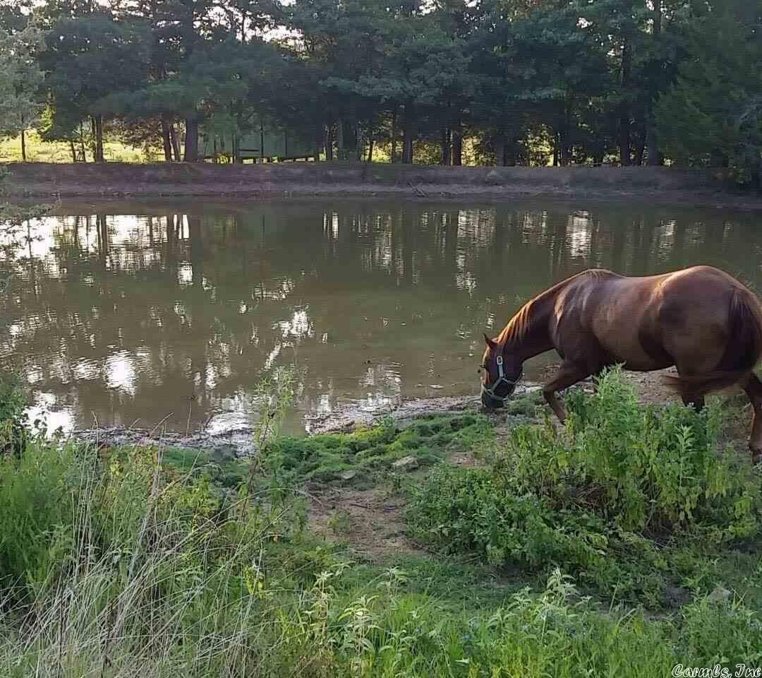 Property Photo:  43 Hidden Valley Rd  AR 72070 