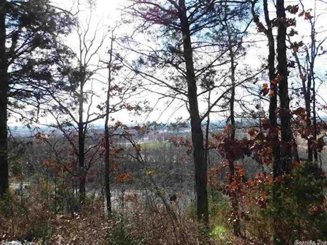 Property Photo: 250 E Grandview Heights AR 72032