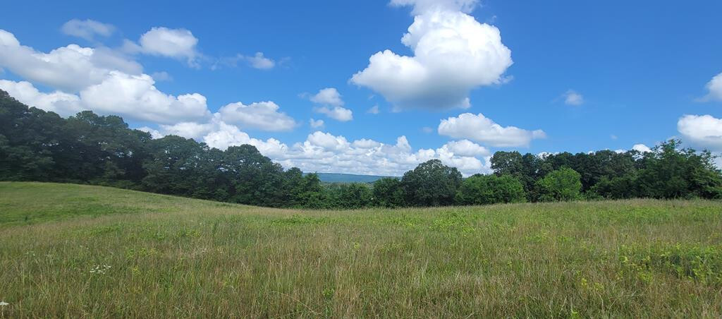 Property Photo: 345 Garland Stinnett Road TN 37321