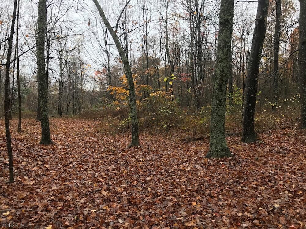 Property Photo: 864 Mt Zion Road PA 15535