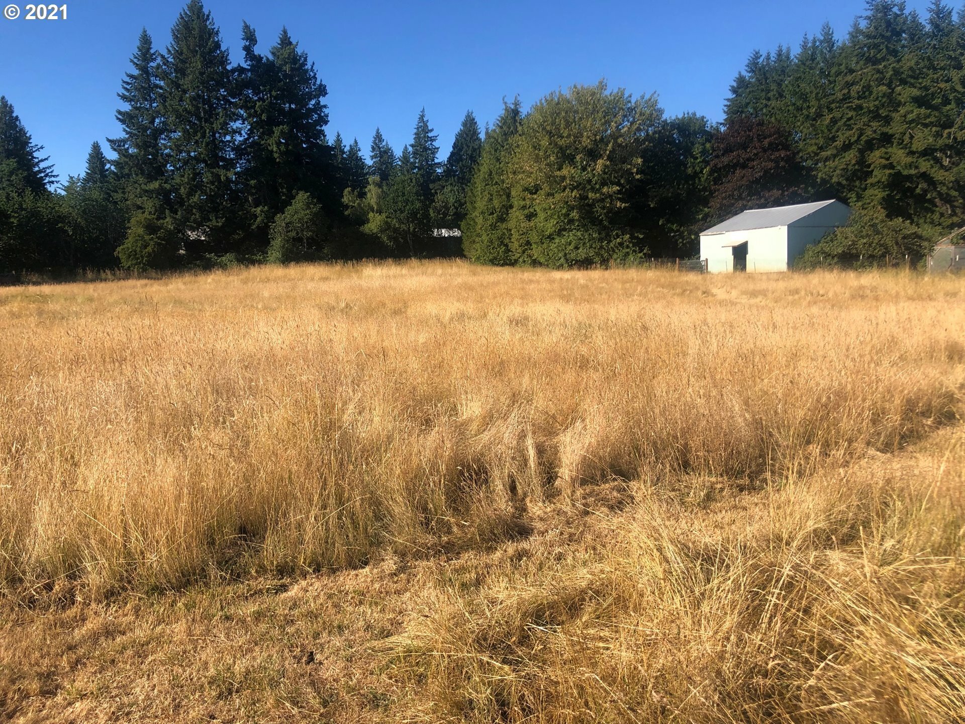 Property Photo:  0 NE 252 Ave  WA 98607 