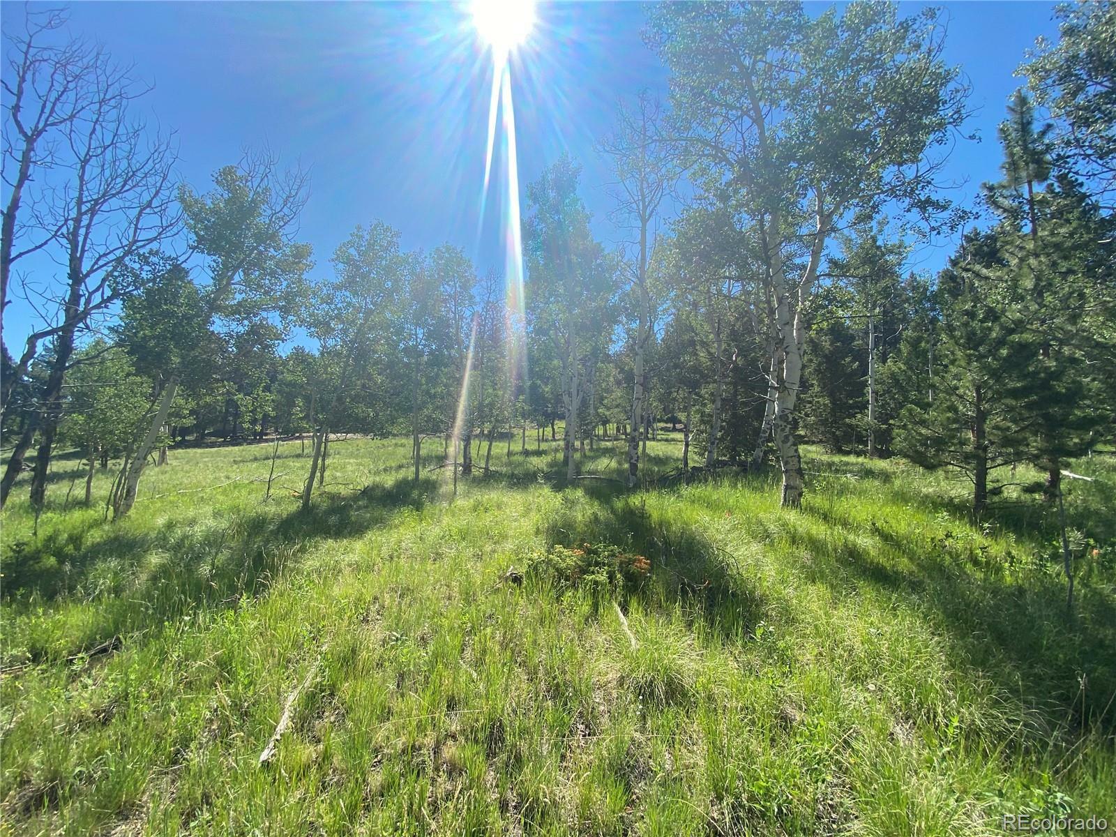 Property Photo:  1828 Bellows Road  CO 80449 