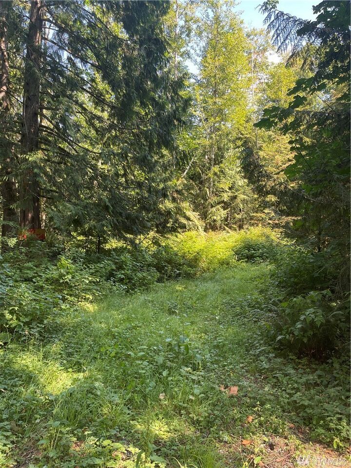 Property Photo: 503 Xx Mt Index Dr WA 98251