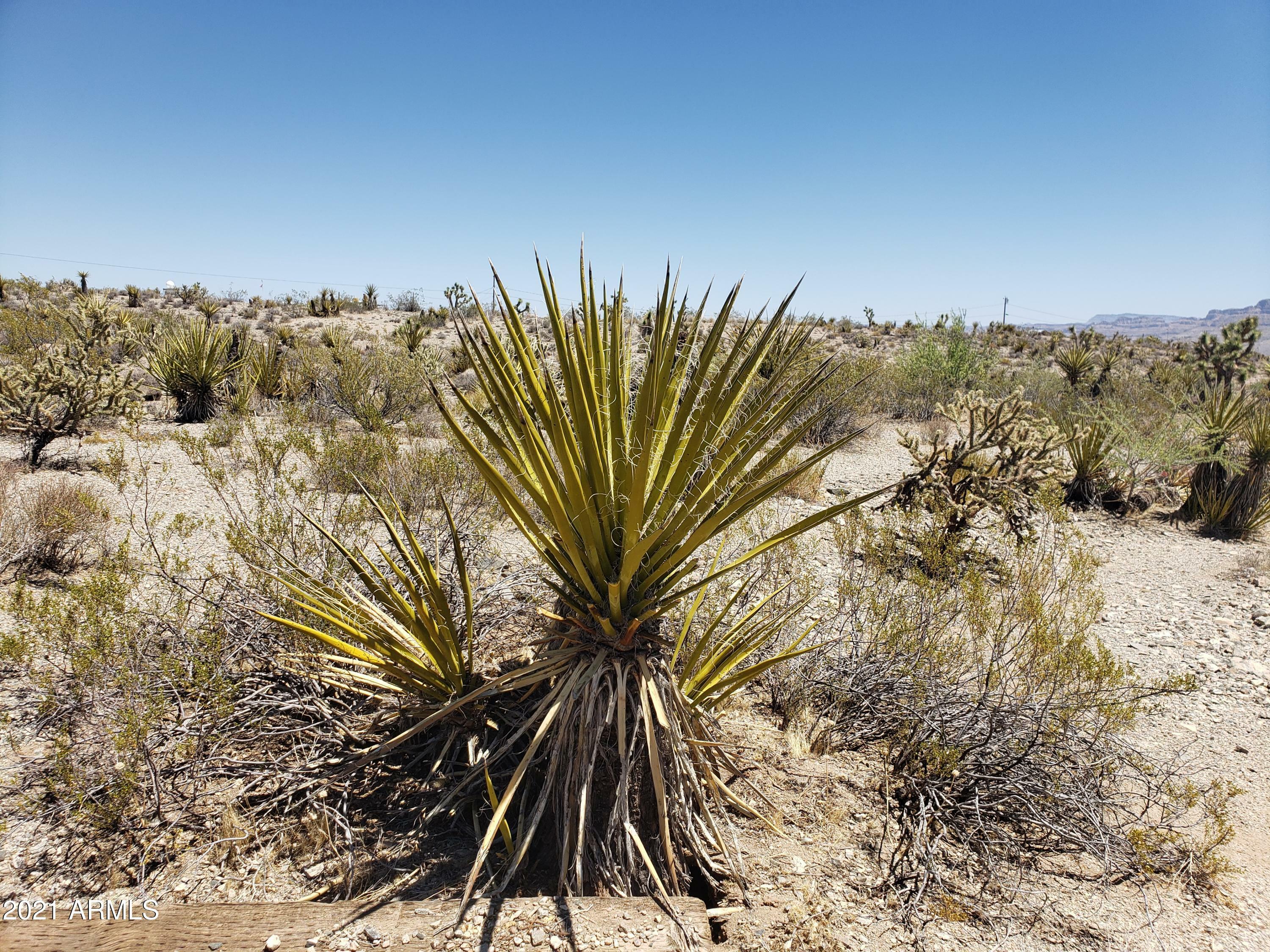 Property Photo:  1565 W Hoover Drive  AZ 86444 