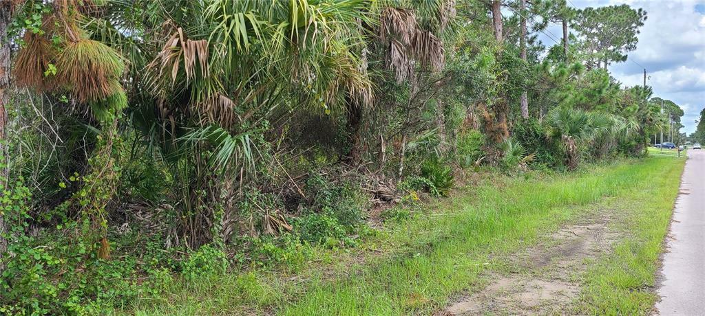 Property Photo:  Alesio Avenue  FL 34286 