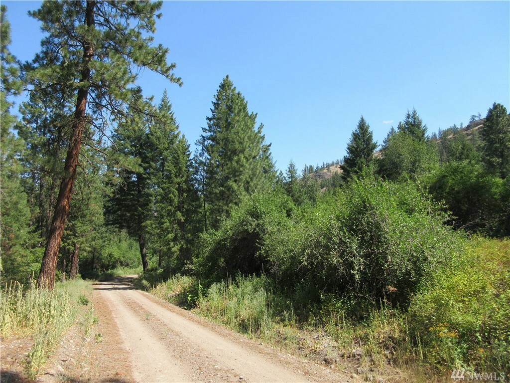 Property Photo: Tbd E San Poil River Rd WA 99166