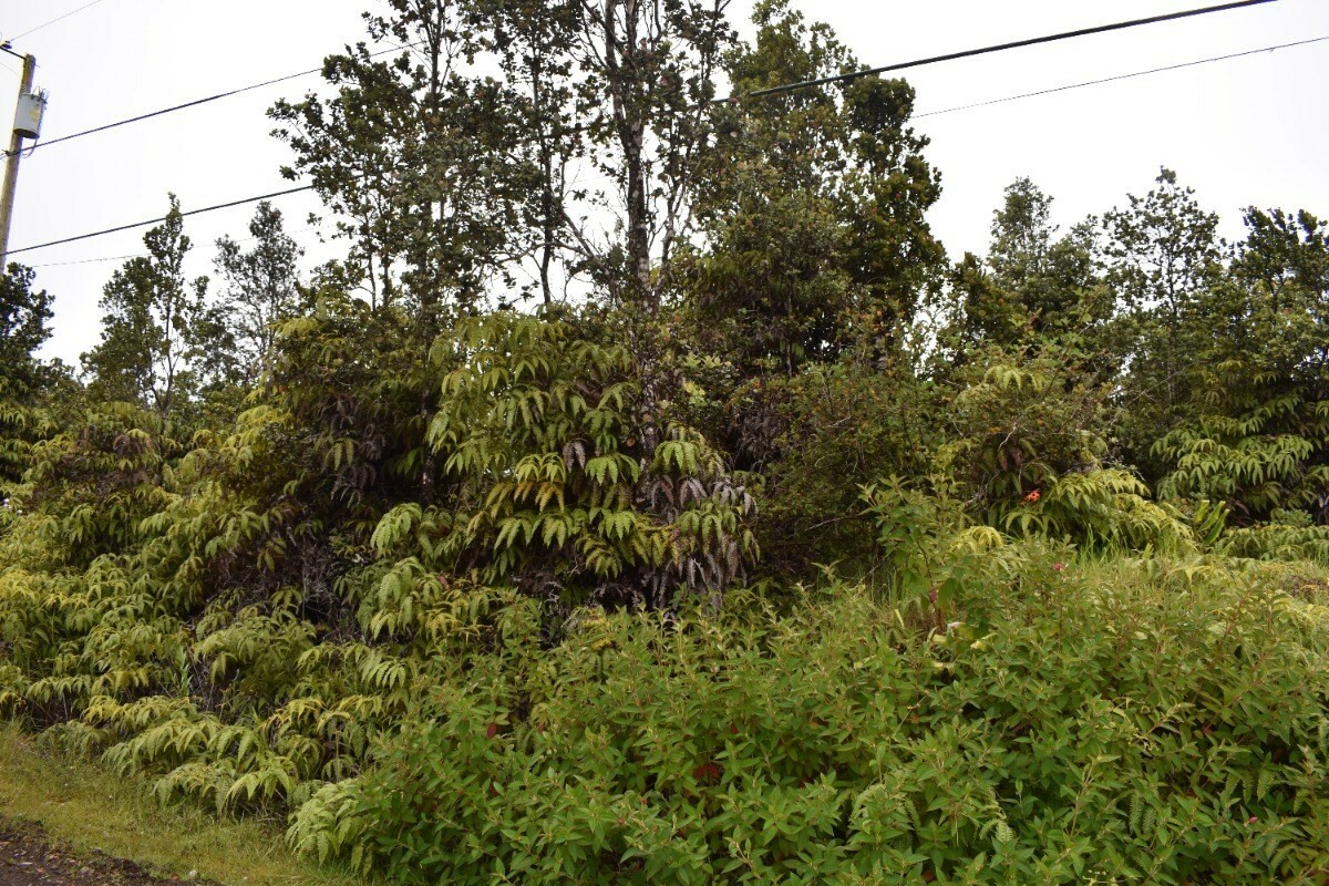 Property Photo:  Pa Alii St  HI 96785 
