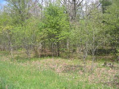 Property Photo:  Sikkenga Road  MI 49437 