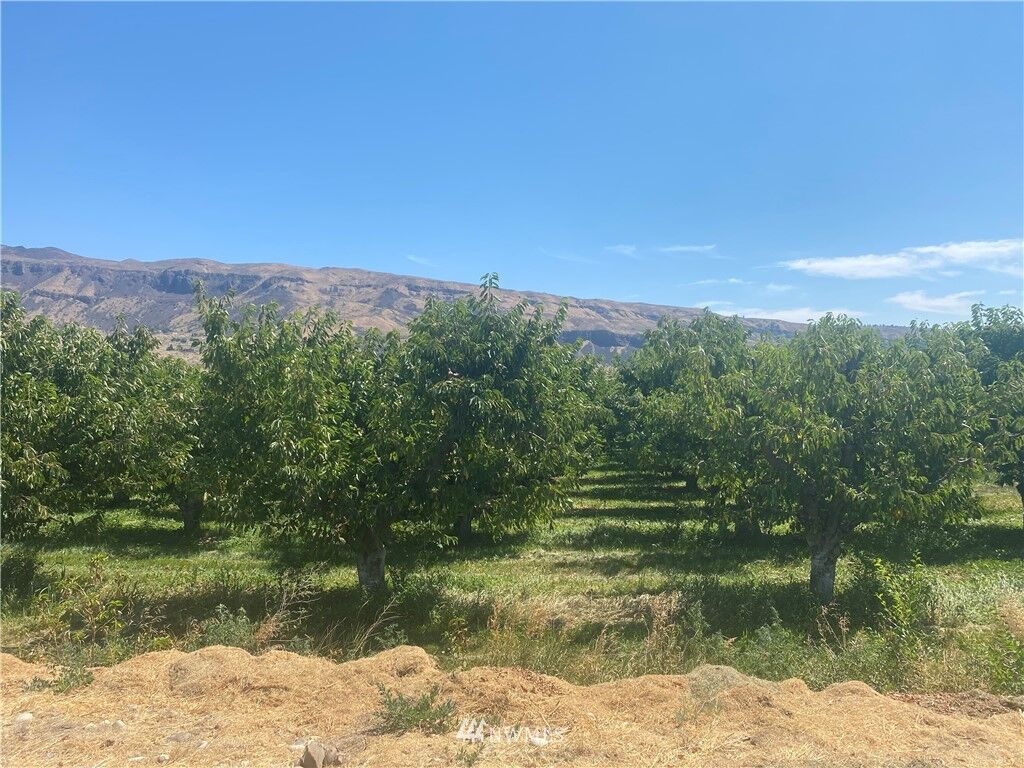 Property Photo: 0 Nna Douglas Street WA 98850