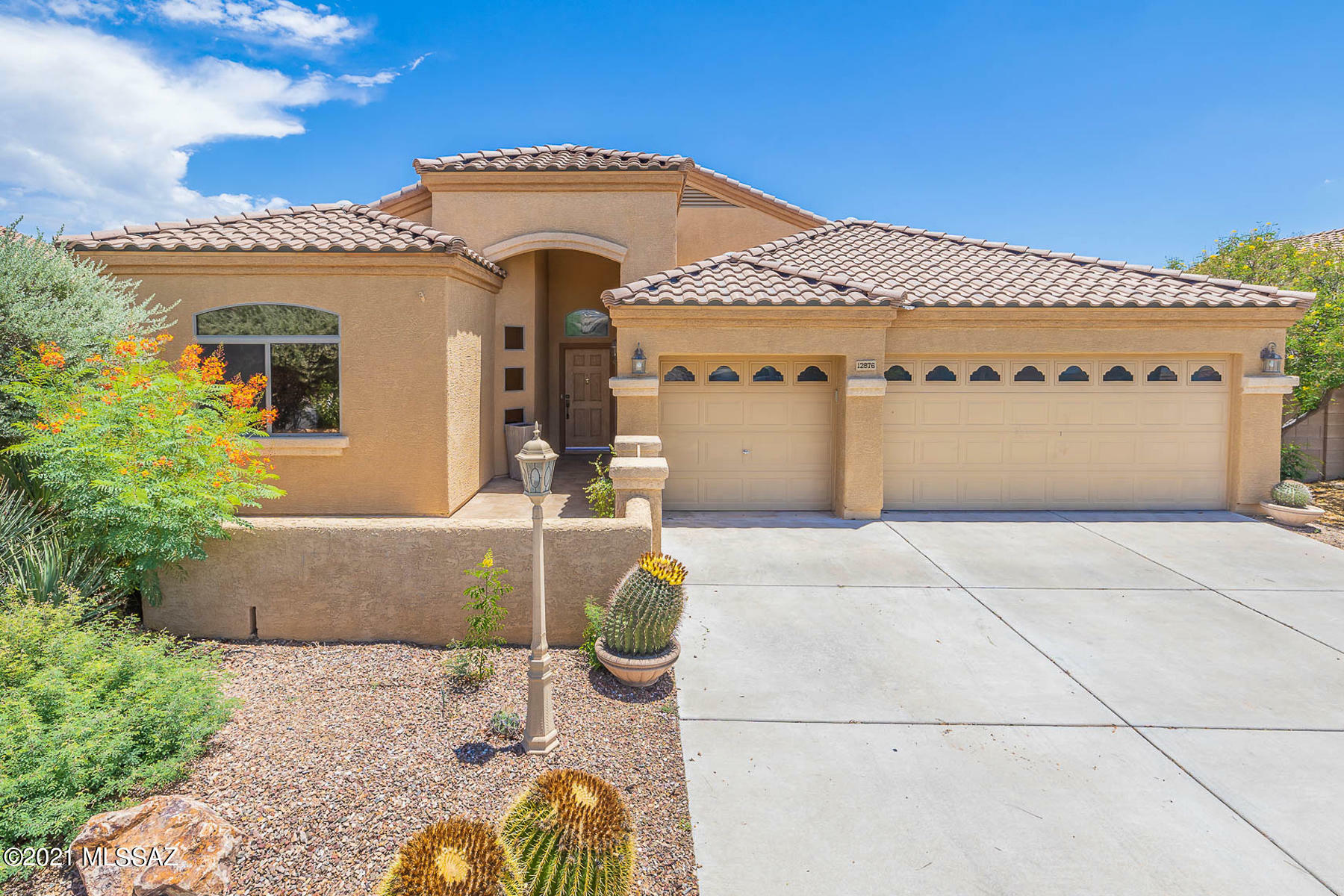 Property Photo:  12876 N Bass Canyon Drive  AZ 85658 