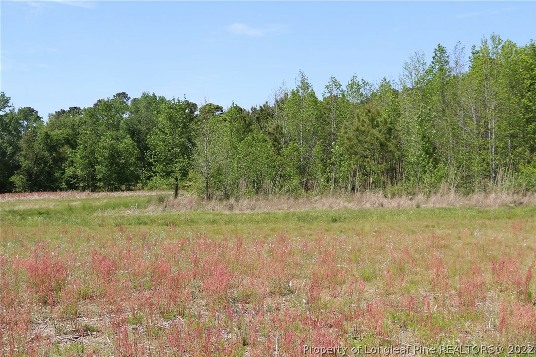 Property Photo: 1837 Turnpike Road NC 28358