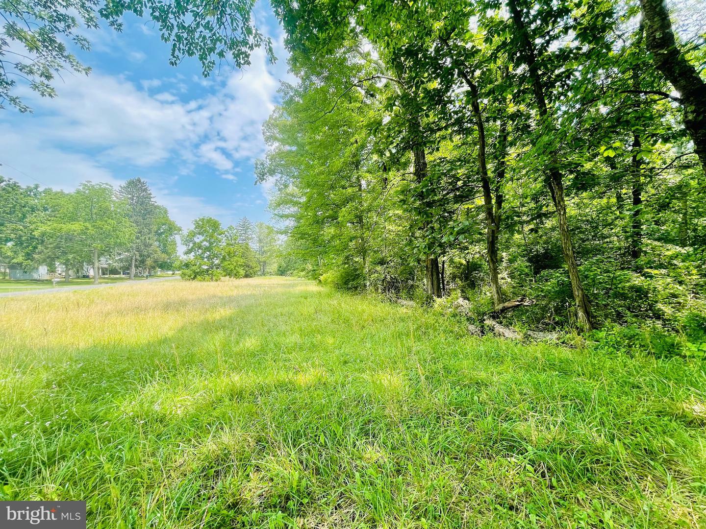Property Photo: 7 Acres Pine Street PA 17019
