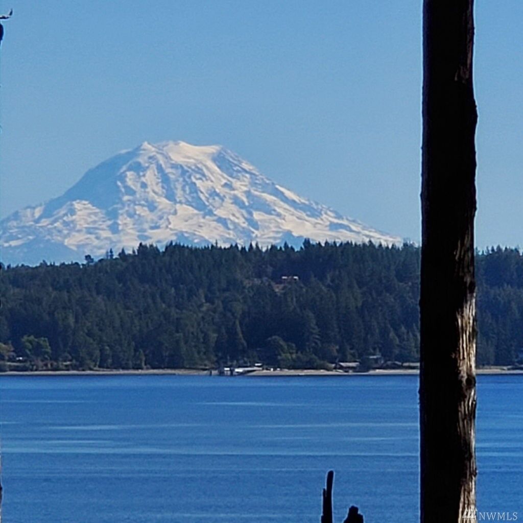 Property Photo:  474 E Chesapeake Dr  WA 98584 