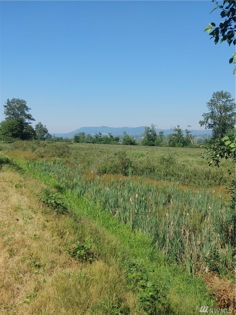 Property Photo:  0 Pioneer Hwy  WA 98274 